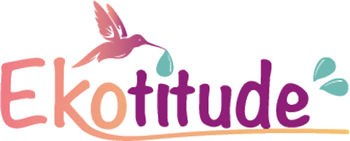 logo de la marque colorée en ligne avec colibri